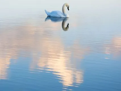 Embracing Self-Love: Releasing Self-Criticism