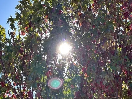 Embracing Self-Trust