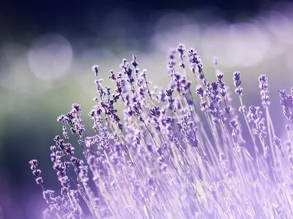 Embracing Sensuality: Accepting Love & Pleasures