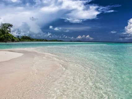 Embracing Serenity: Peace On The Sea Shore