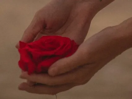 Embracing Softness: The Art Of Slowing Down Meditation