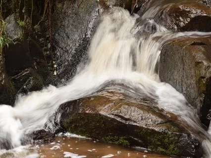 Embracing Stillness In Life's Currents