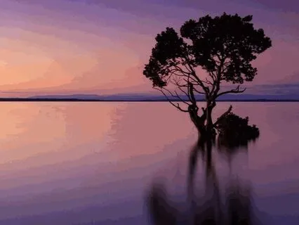 Embracing Stillness Meditation