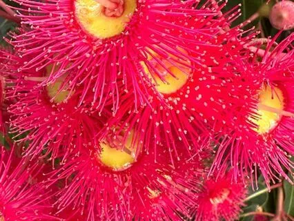 Embracing Success Affirmation Meditation