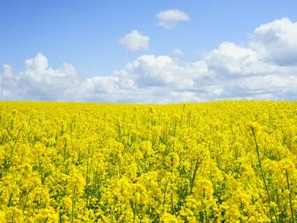 Embracing Success Through Your Mother