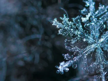 Embracing The Darkness Within: A Winter Solstice Meditation