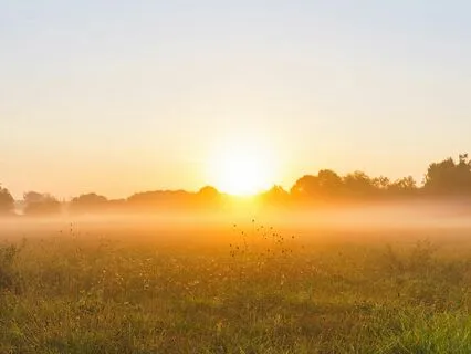 Embracing The Divine Light