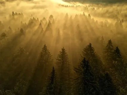 Day 7:Embracing The Elements: Aligning With Nature's Flow