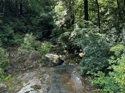 Embracing The Elements