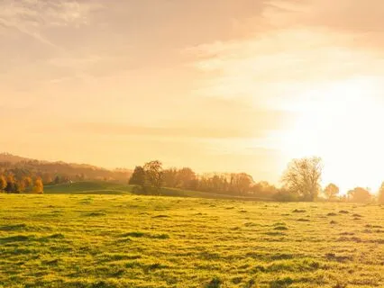 Embracing The Energy Of The Earth: Meditation For Grounding