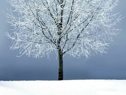 A Journey Into Magic, Stillness & Transformation