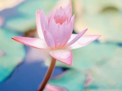 Embracing The Metamorphosis Of The Lightworker Mission