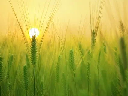 Embracing The New You