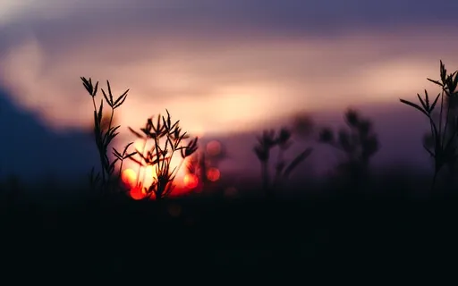 Embracing The Paradoxes Of Life