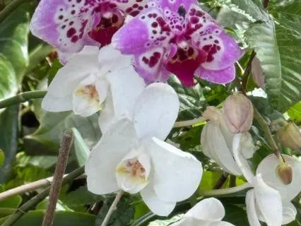 Embracing The Powerful Of Love