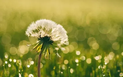 Embracing The Present