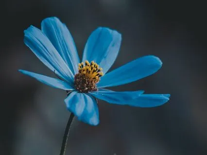 Embracing The Quality Of Your Negative Experiences