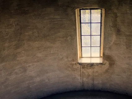 Embracing The Shadow