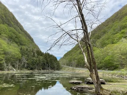 Embracing The Space Of Thought