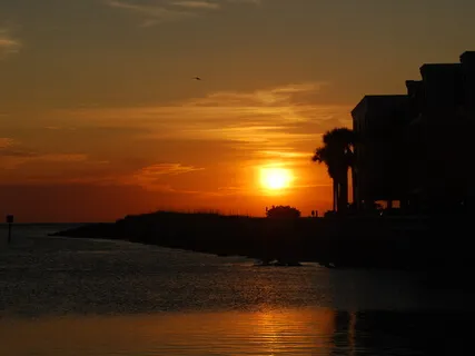 Embracing The Spectrum Of Emotions