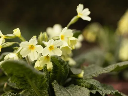 Embracing The Speed Of Spring - February 28