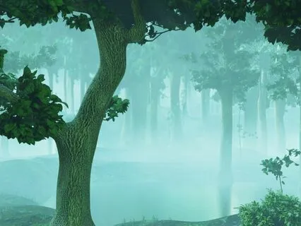 Embracing The Wisdom Of Impermanence