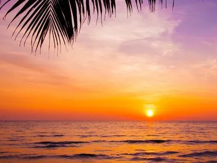 Embracing Total Rest And Restoration