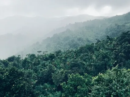 Embracing Uncertainty Guided Light Music Meditation