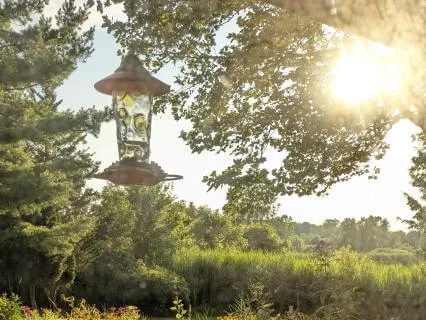 Embracing Uncertainty & Trust In The Garden