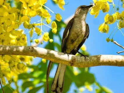 Embracing Vulnerability And Speaking Your Truth