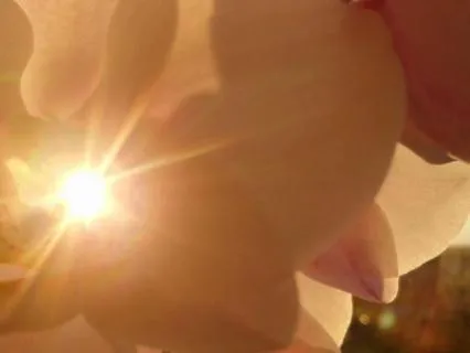 Embracing Who You Are