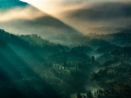 Embracing Your Creativity