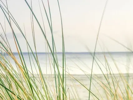 Embracing Your Gifts