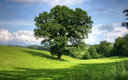 Embracing your Inner calm with 528 Hz