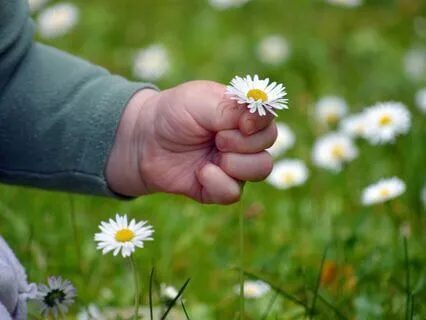 Embracing Your Inner Child