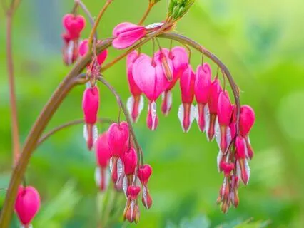 Embracing Your Inner Light - Nurture Your Heart