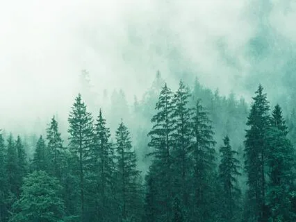 Embracing Your Nervous System