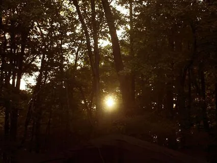 Embracing Your Self-Worth