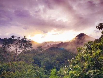 Embracing Your Sensitivities