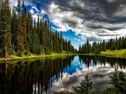 EMDR Light Stream Meditation For A Calm Body