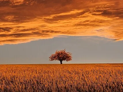 EMDR Resource Visualization: Strength & Future Success