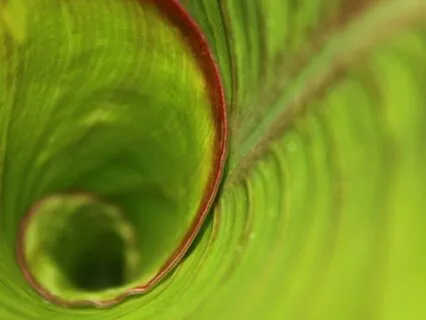 EMDR Spiral For Distress Relief