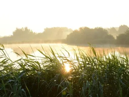 Emerald Sunrise