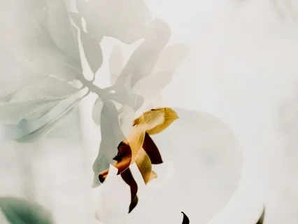 Emerald Tablets Guided Meditation Mystery School Pt 2