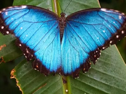 Emerge Workshop - Removing The Overwhelm