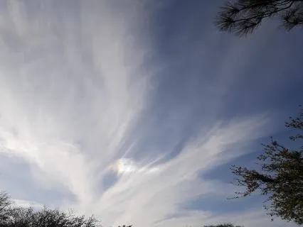 Emergence Of Love And Peace