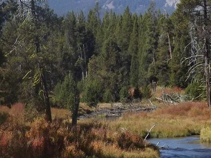 Emerson: Fifty Quotes By Ralph Waldo Emerson Part 1