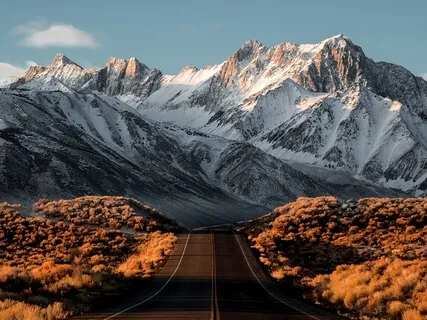 Emotional Acceptance 