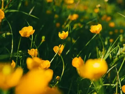 Emotional Alchemy Meditation: Turning Chaos Into Clarity