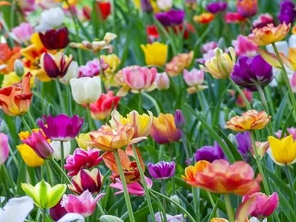 Emotional Baggage? Can We Please Just Make It Stop?